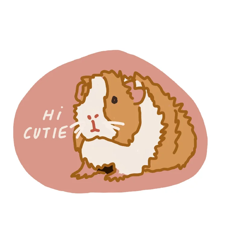  -Anti-scratch sofa protective cover Guinea Pig Sticker
